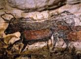 Aurochs image from Lascaux